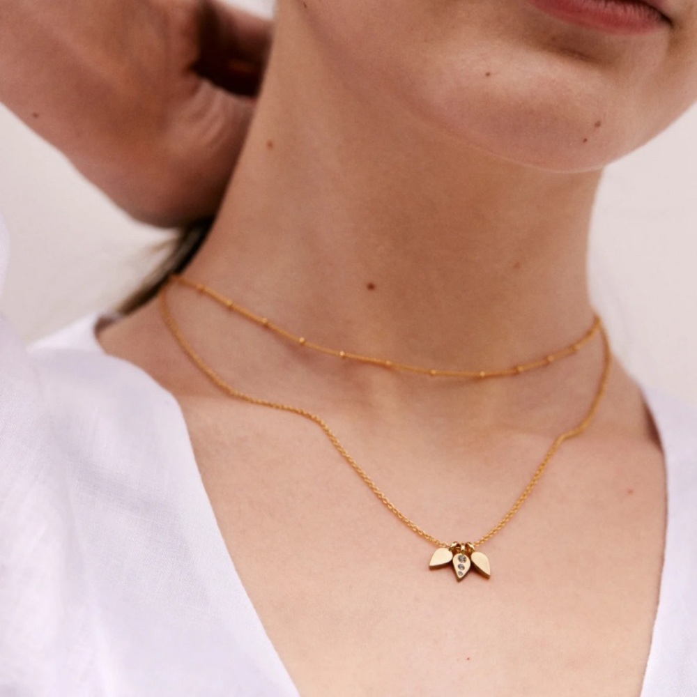 Bryan Anthonys mini choker